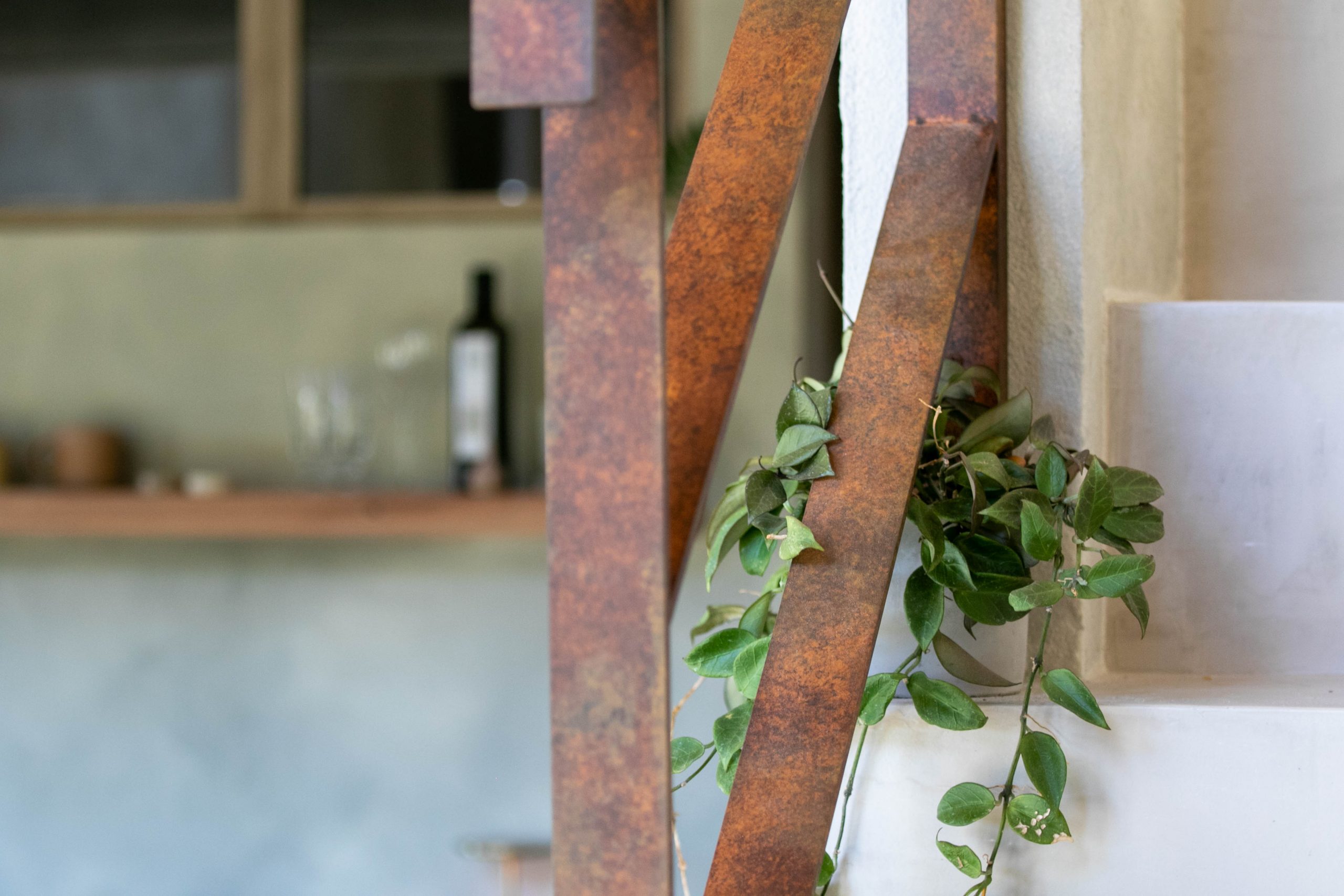 家の中のグリーンが癒しの空間を彩ります。