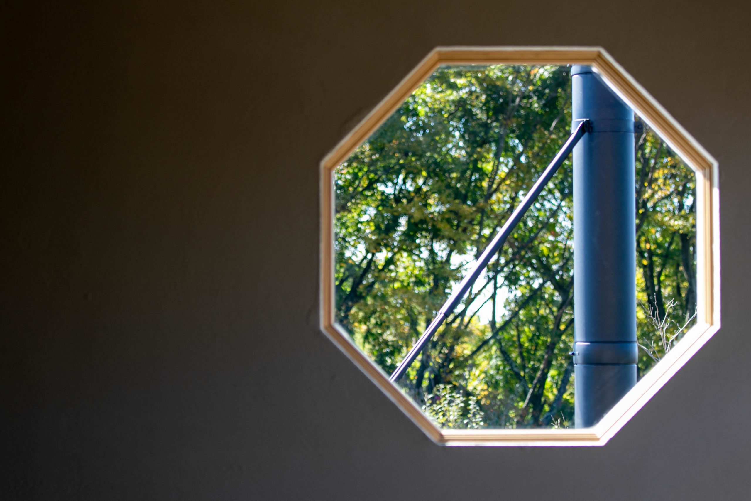 家の中のグリーンが癒しの空間を彩ります。