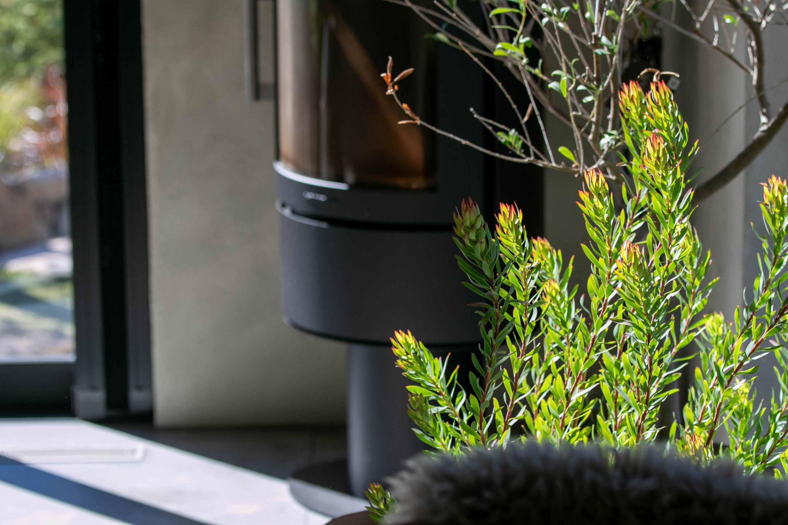 家の中のグリーンが癒しの空間を彩ります。