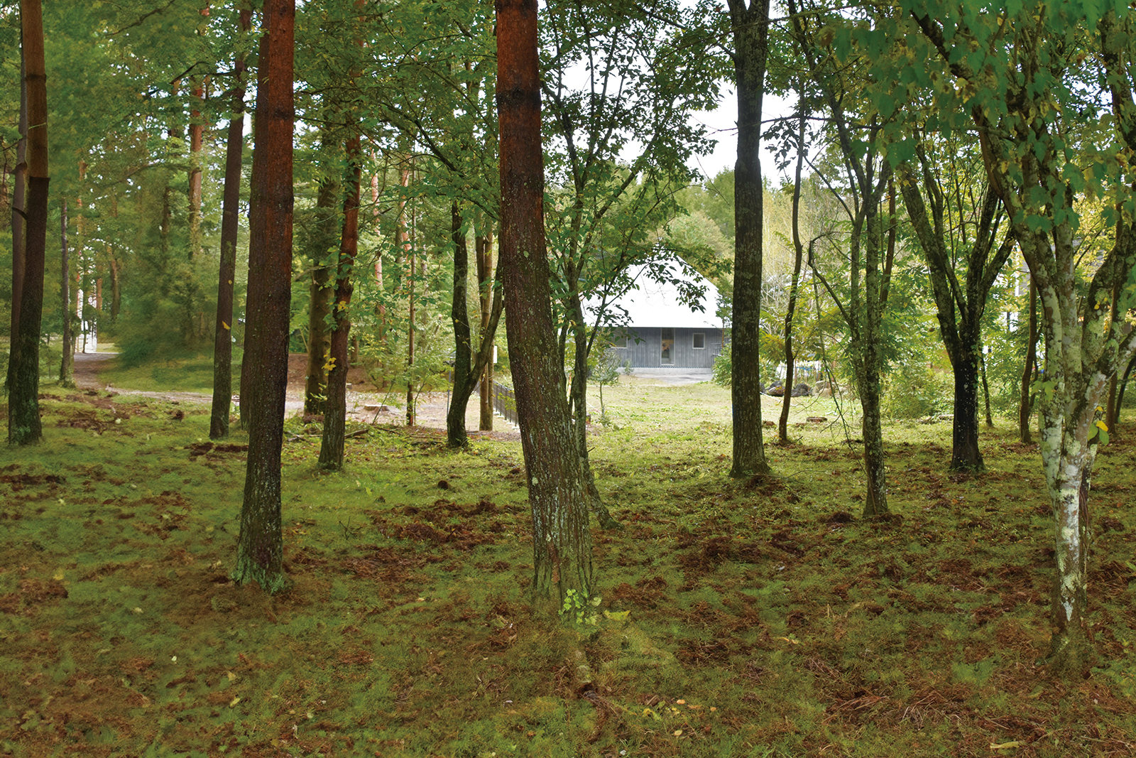 外観・エントランス