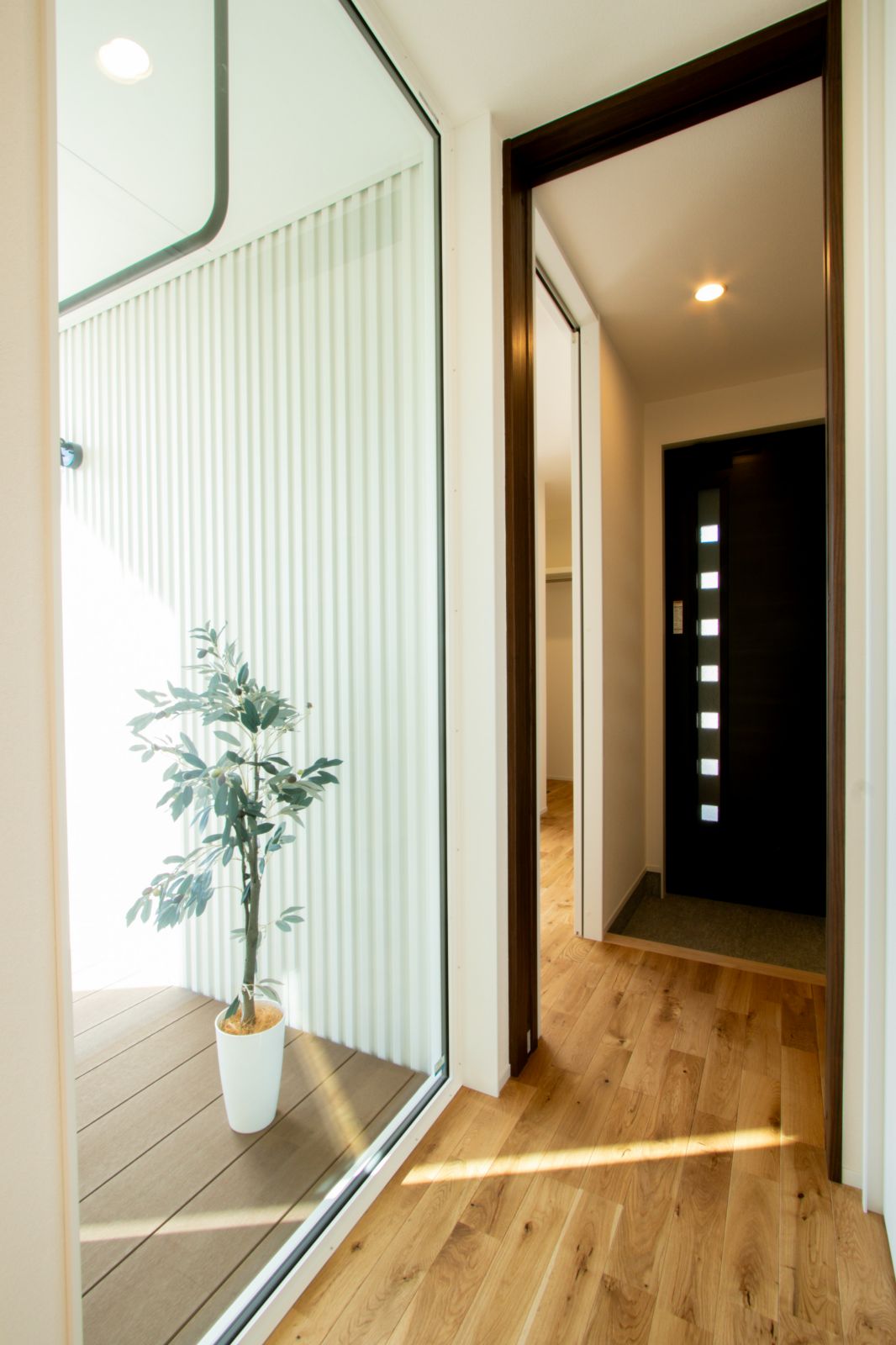 パティオ・リビング